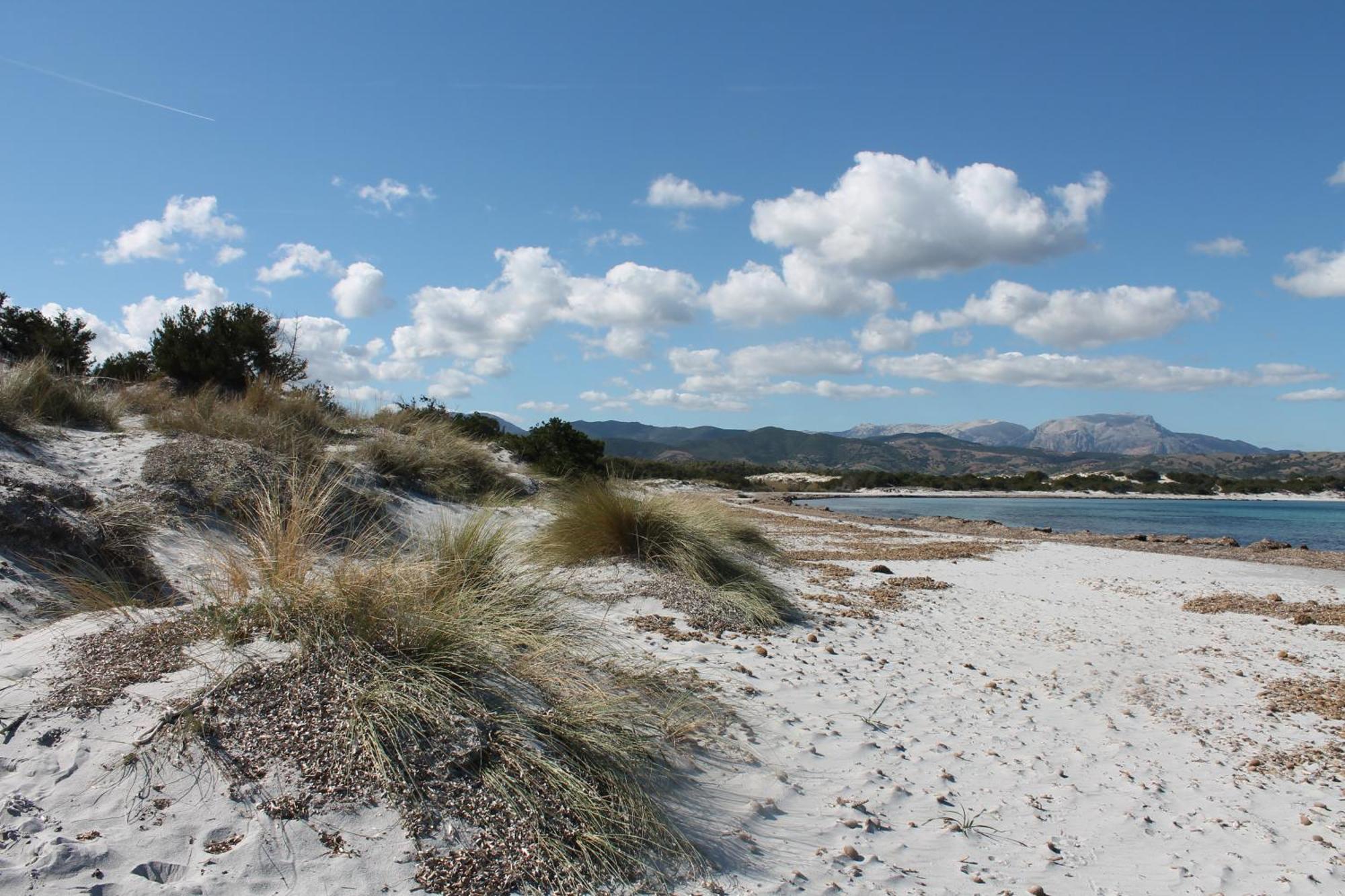Villetta 1.2 Km Dalla Spiaggia Budoniaffitti Танаунелла Экстерьер фото