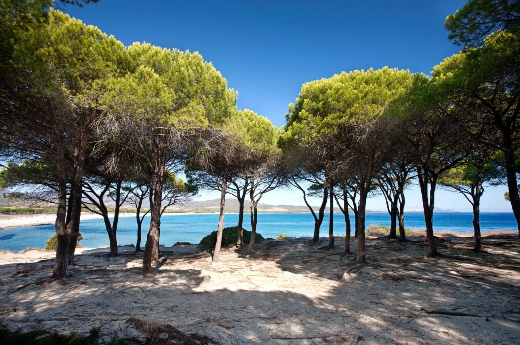 Villetta 1.2 Km Dalla Spiaggia Budoniaffitti Танаунелла Экстерьер фото